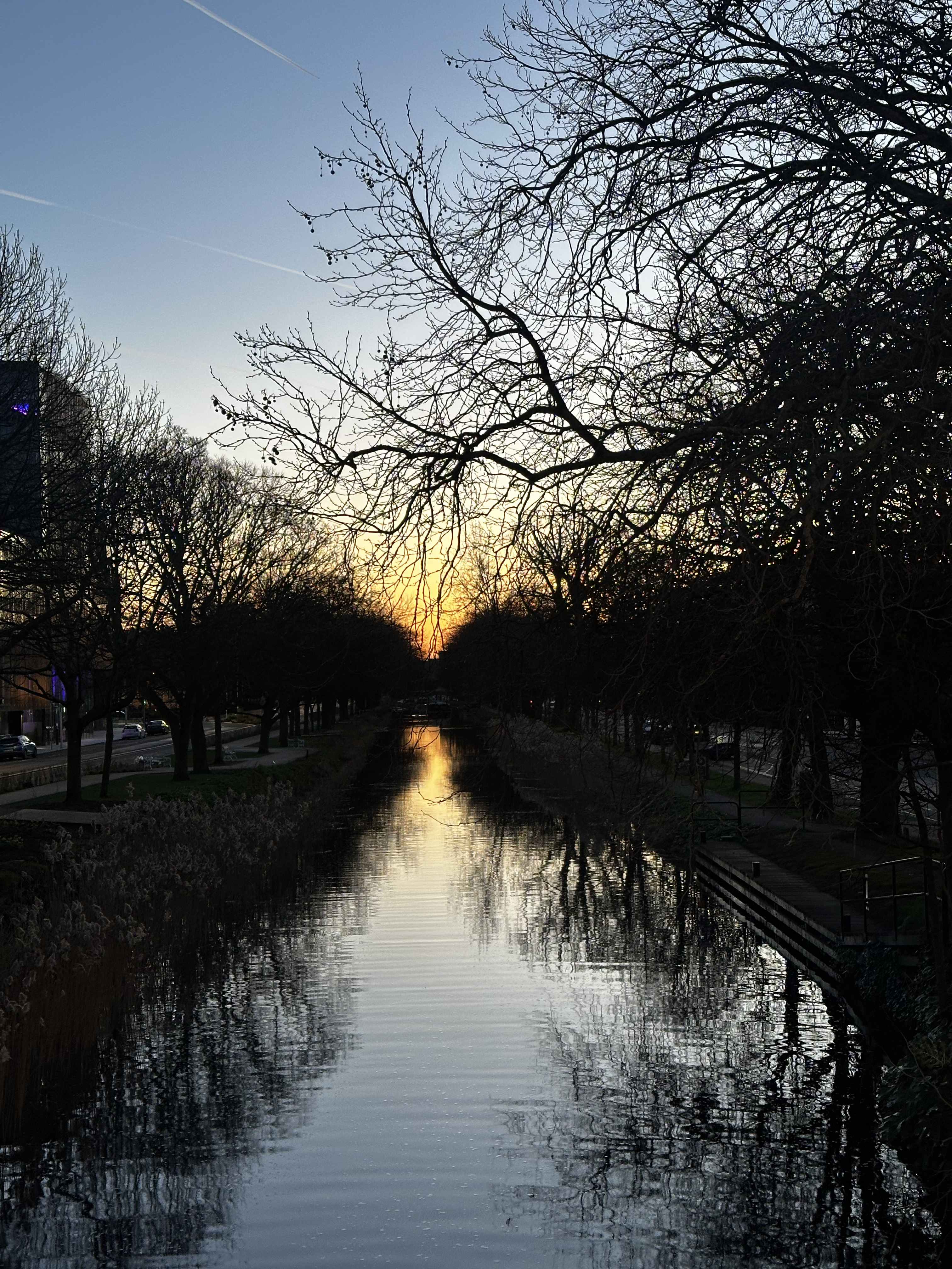 Grand Canal at golden hour. My favourite shot.